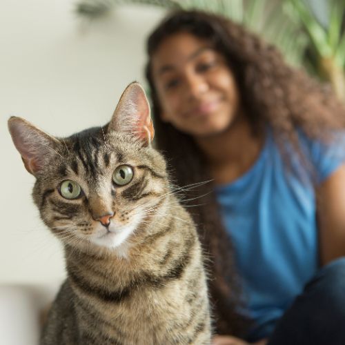 Pet-Sitting-Wag-and-Purr